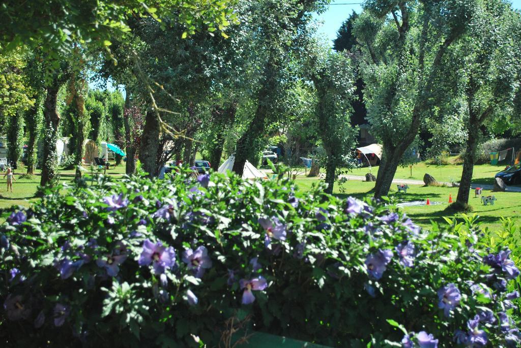 Camping Les Tournesols Sillé-le-Guillaume エクステリア 写真
