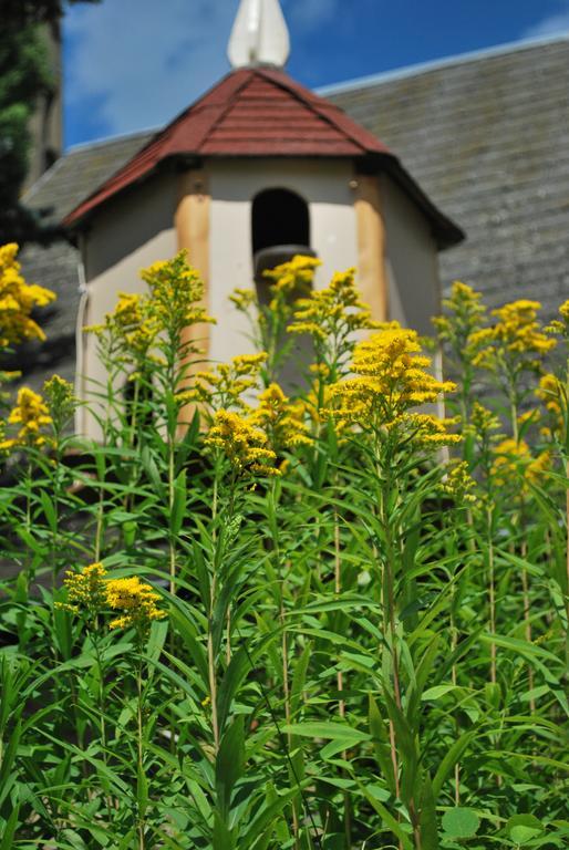 Camping Les Tournesols Sillé-le-Guillaume エクステリア 写真