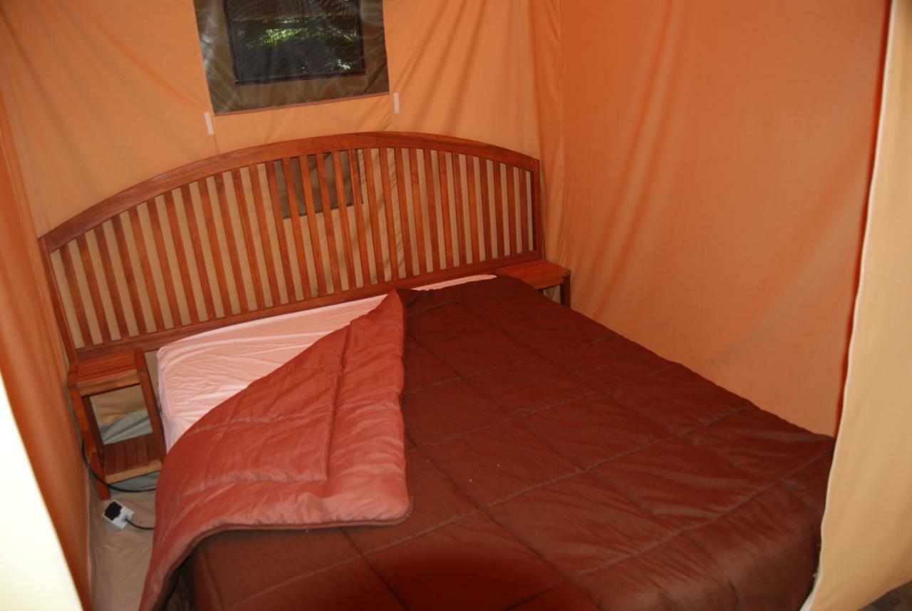 Camping Les Tournesols Sillé-le-Guillaume エクステリア 写真