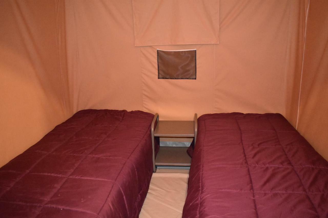 Camping Les Tournesols Sillé-le-Guillaume エクステリア 写真